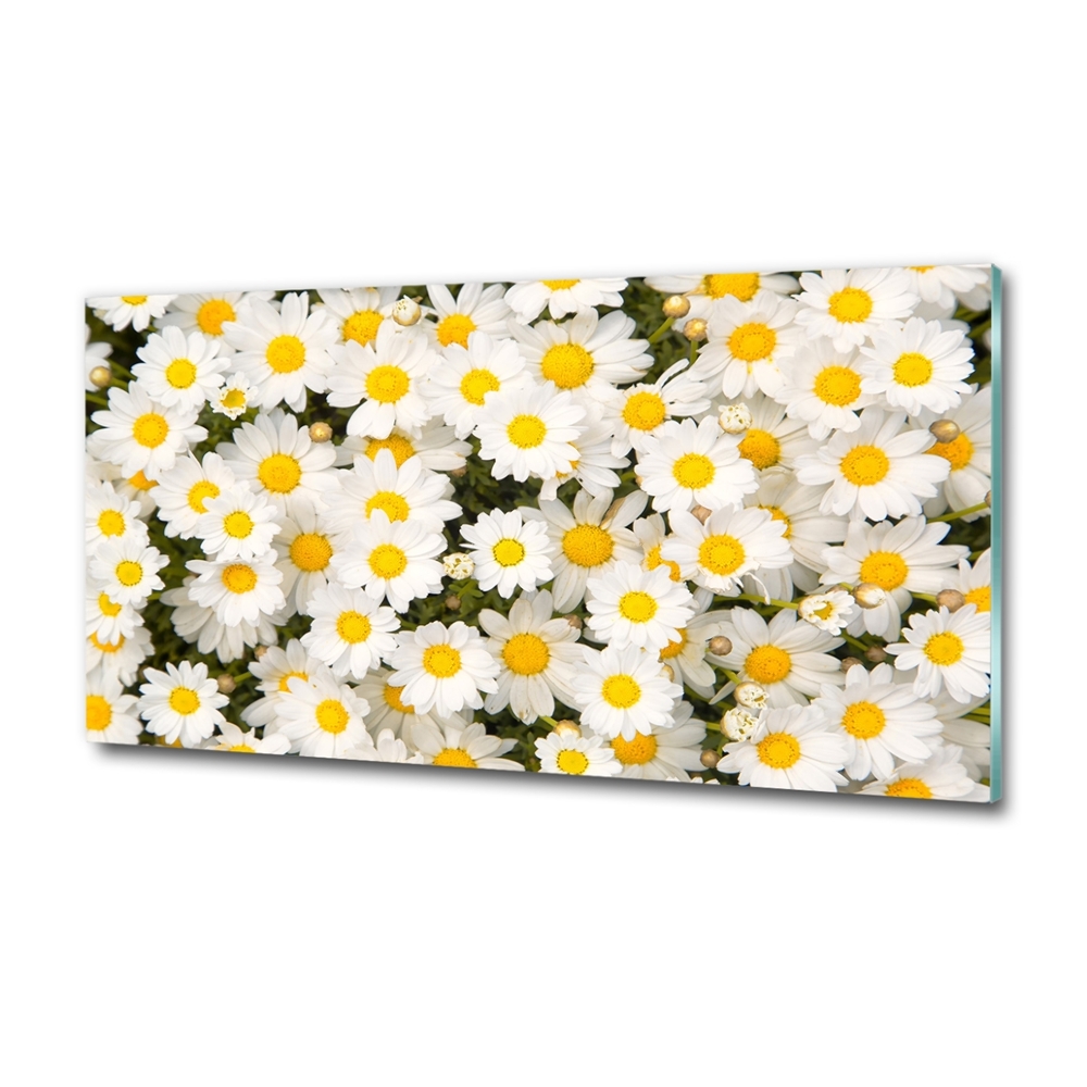 Wall art on glass Daisy