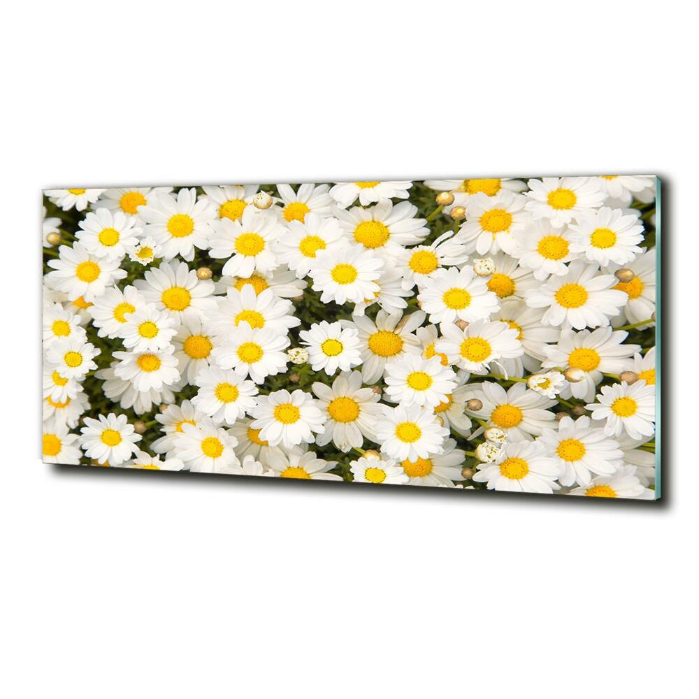 Wall art on glass Daisy