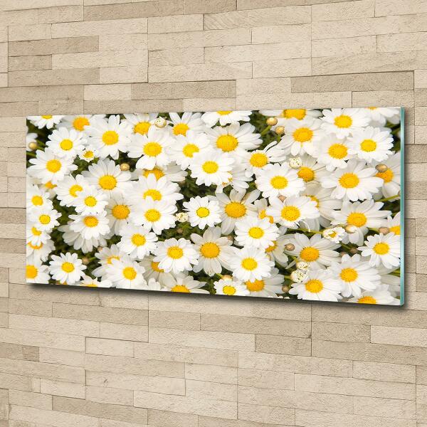 Wall art on glass Daisy