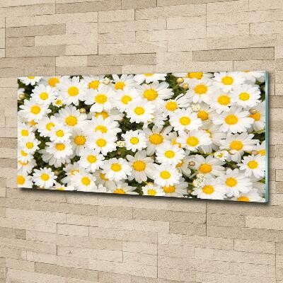 Wall art on glass Daisy