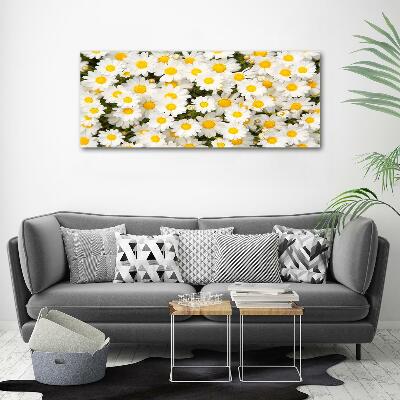 Wall art on glass Daisy