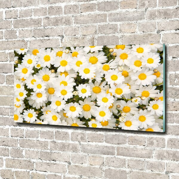 Wall art on glass Daisy