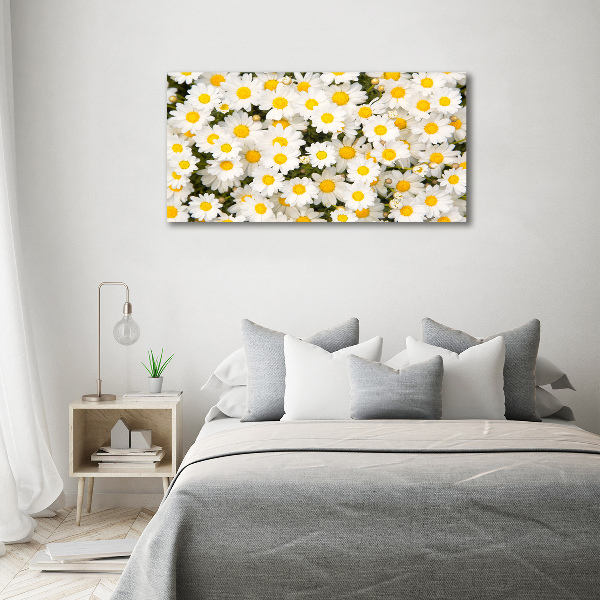 Wall art on glass Daisy