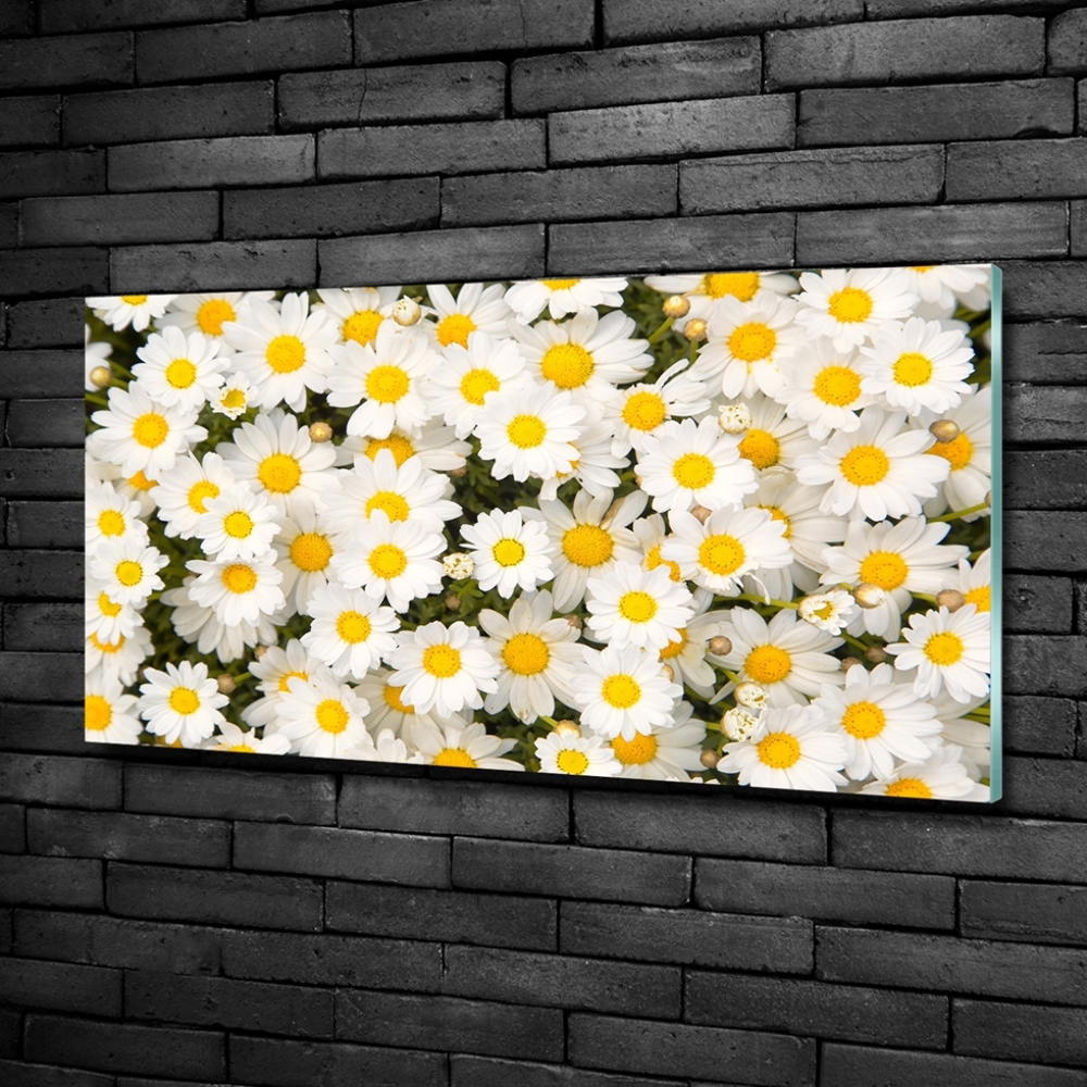 Wall art on glass Daisy