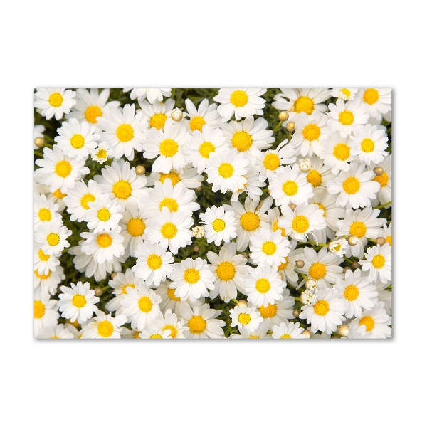 Wall art on glass Daisy