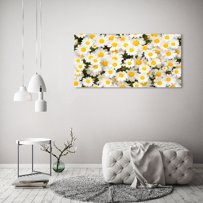 Wall art on glass Daisy