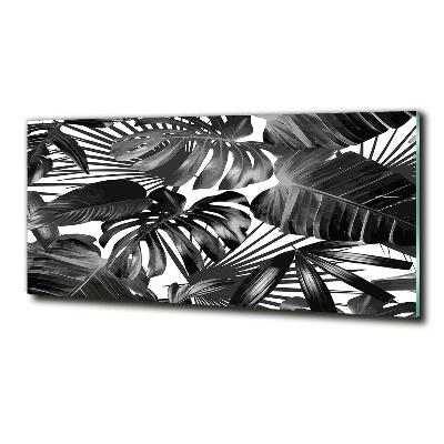 Wall art on glass Tropical leaves