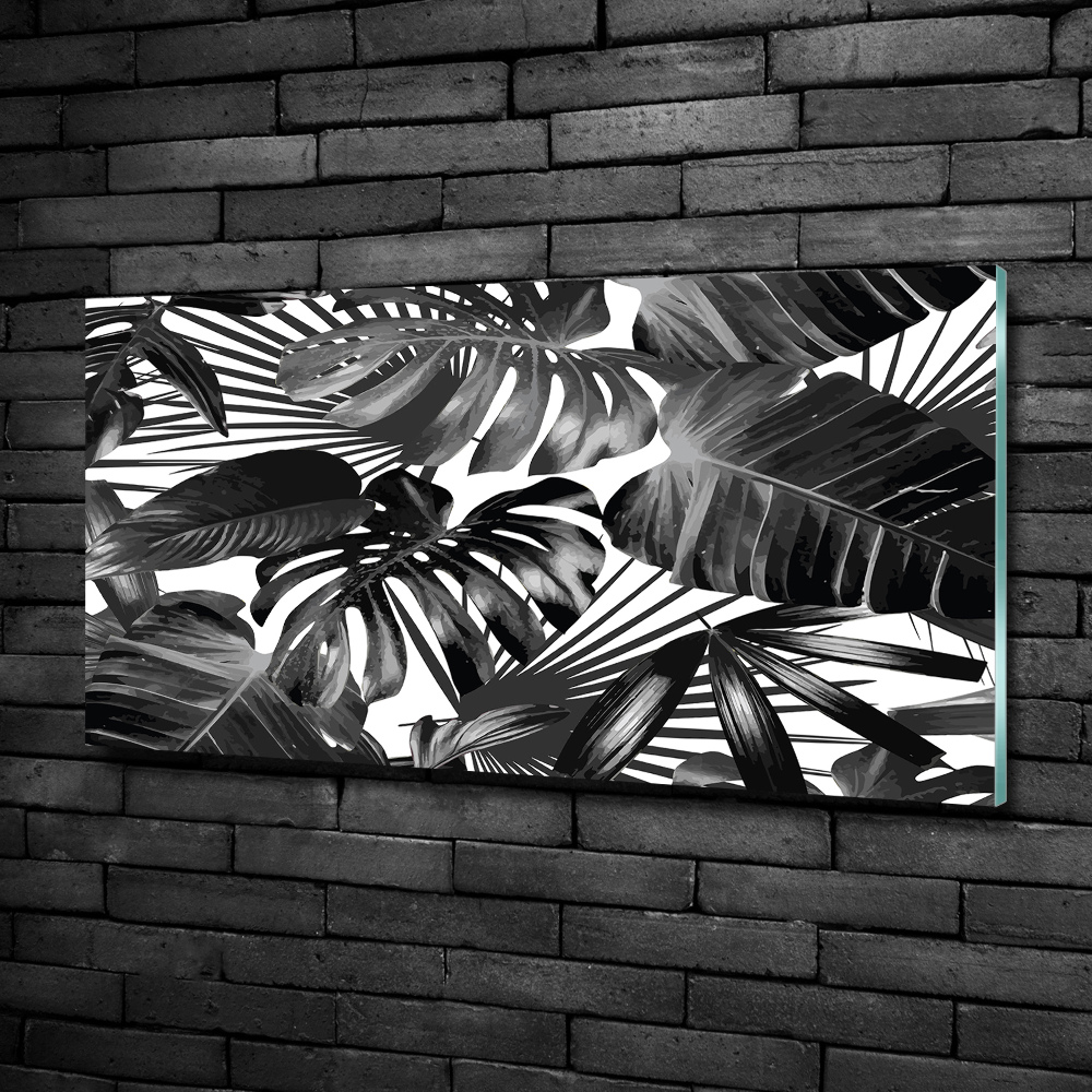 Wall art on glass Tropical leaves