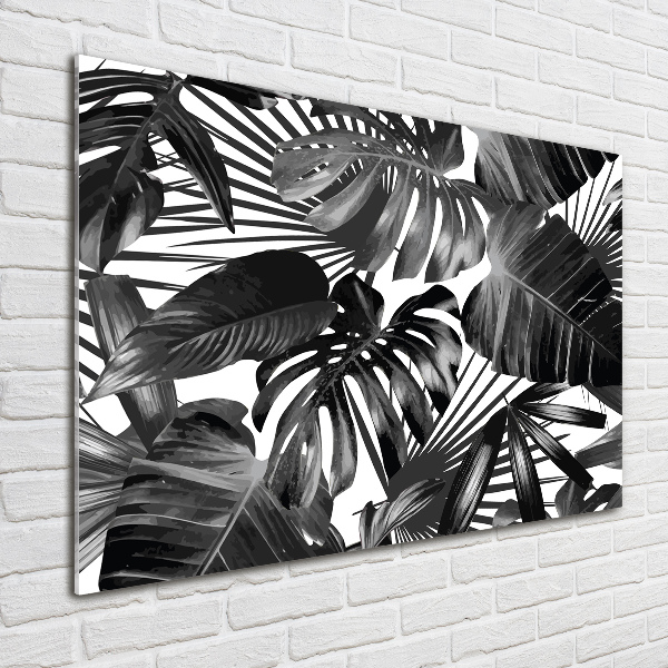 Wall art on glass Tropical leaves