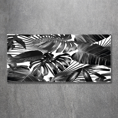 Wall art on glass Tropical leaves