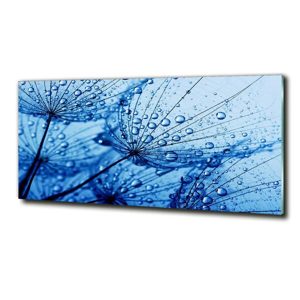 Glass wall art Dandelion seeds