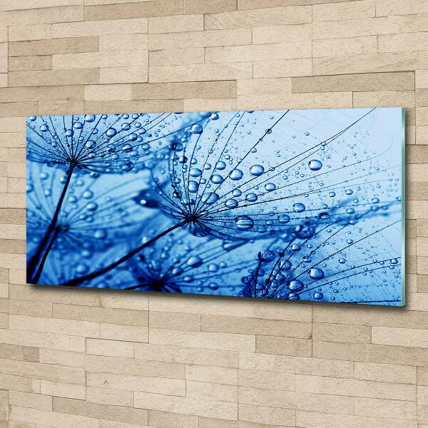 Glass wall art Dandelion seeds