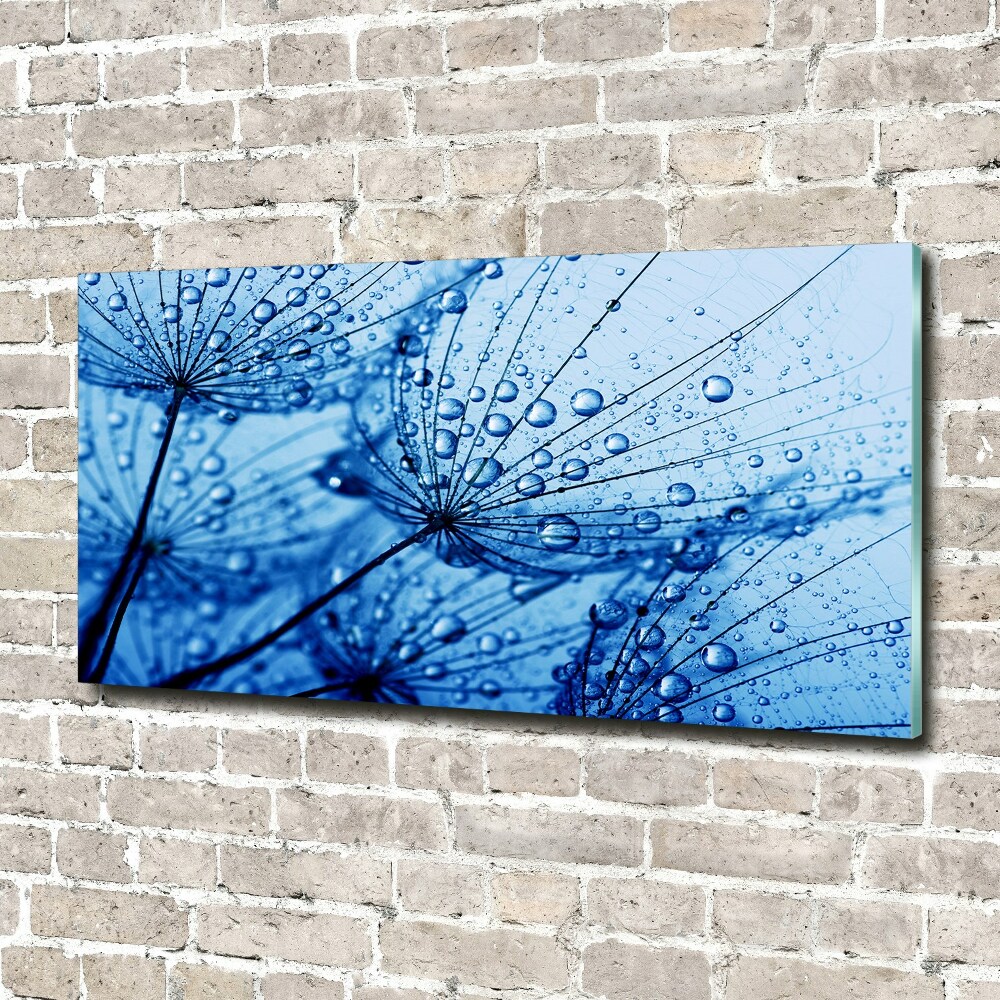 Glass wall art Dandelion seeds