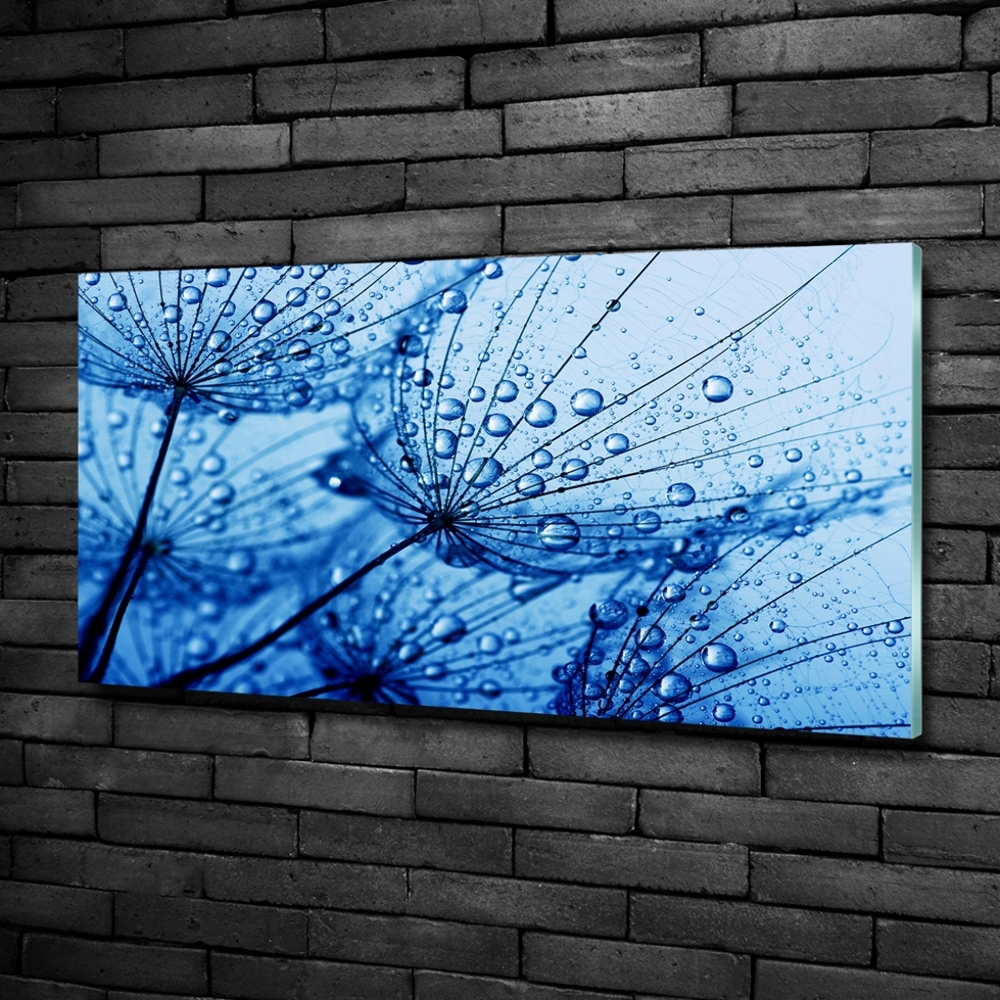 Glass wall art Dandelion seeds