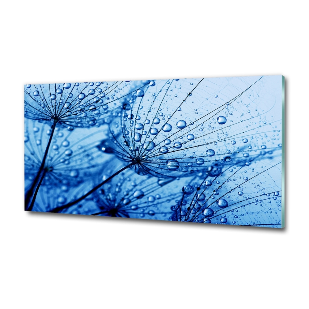 Glass wall art Dandelion seeds