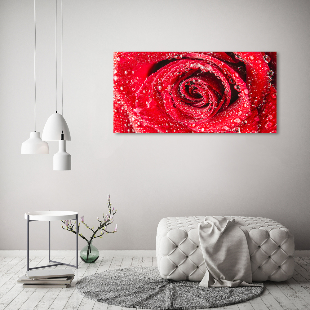 Wall art on glass Drops of water on rose