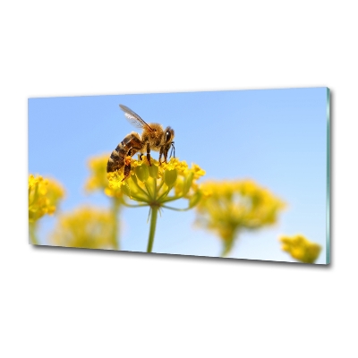 Glass wall art Bee on a flower