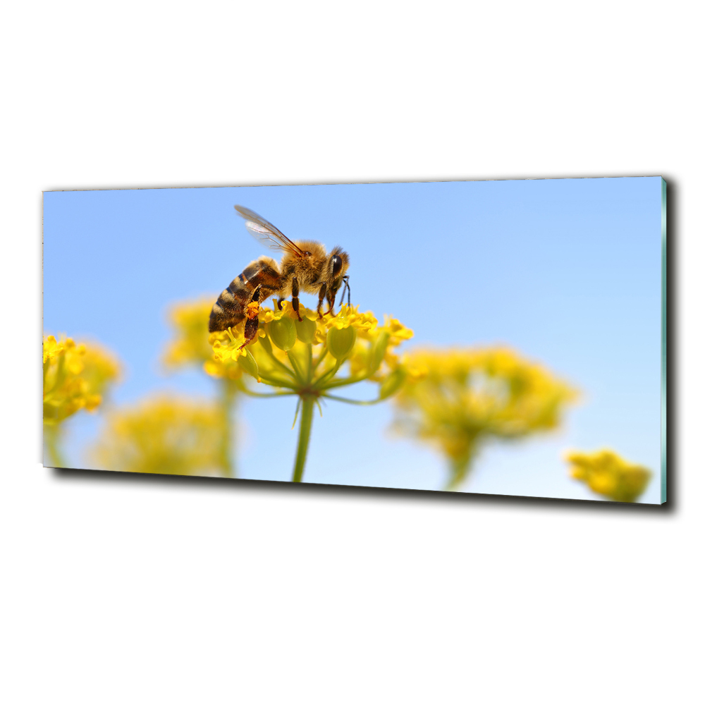 Glass wall art Bee on a flower