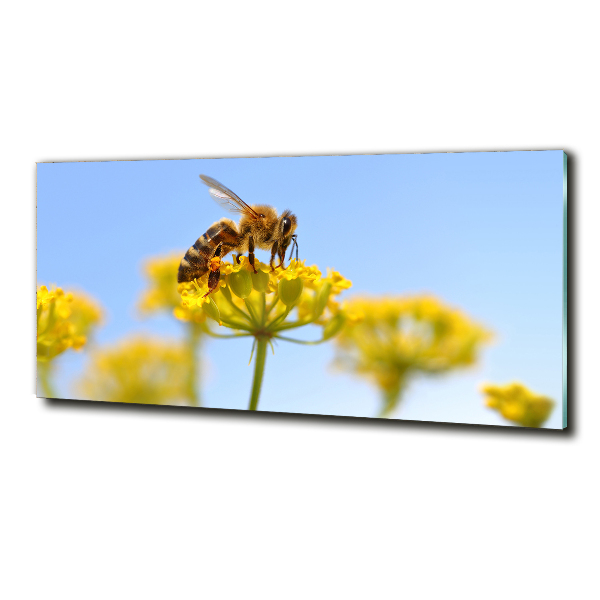 Glass wall art Bee on a flower