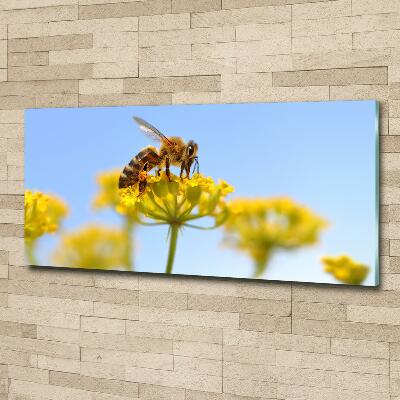 Glass wall art Bee on a flower