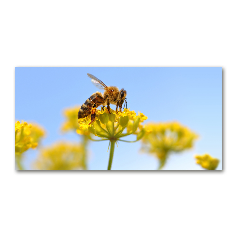 Glass wall art Bee on a flower