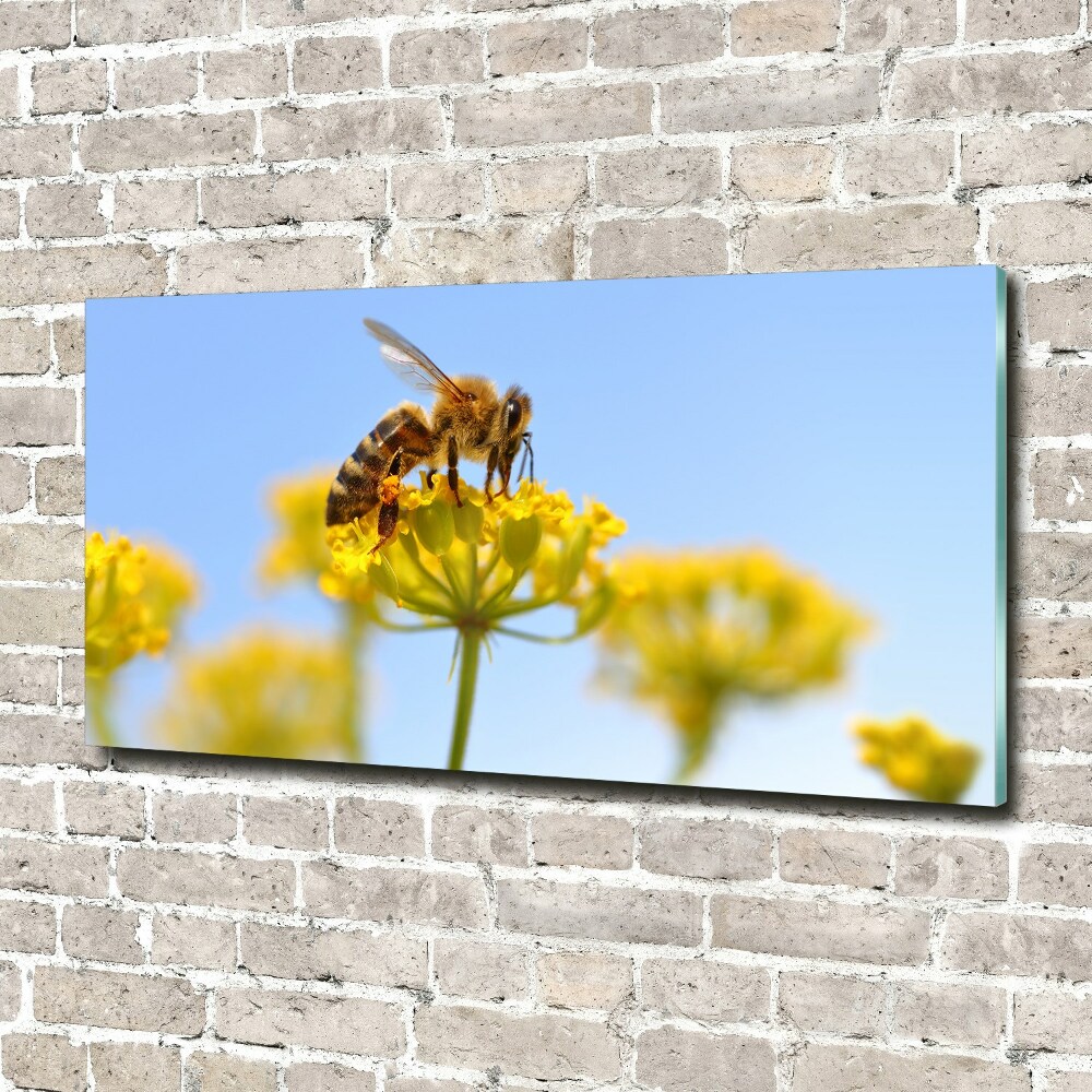 Glass wall art Bee on a flower