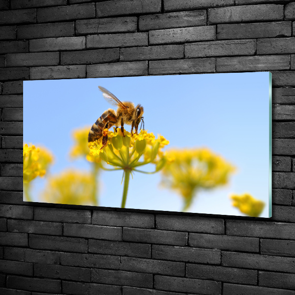 Glass wall art Bee on a flower