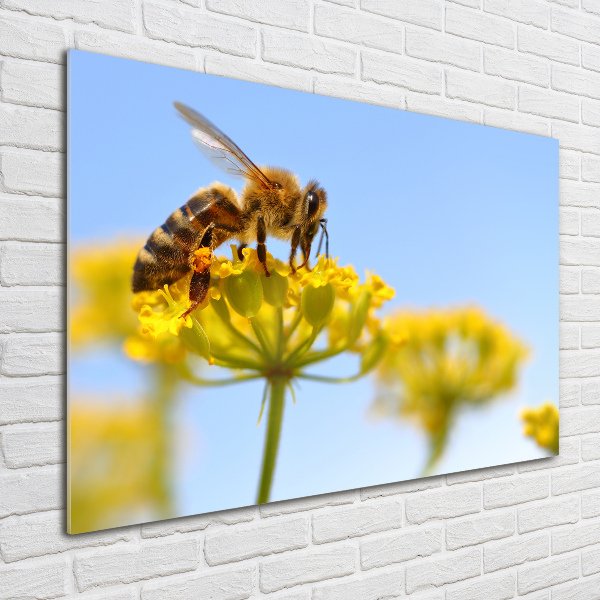 Glass wall art Bee on a flower