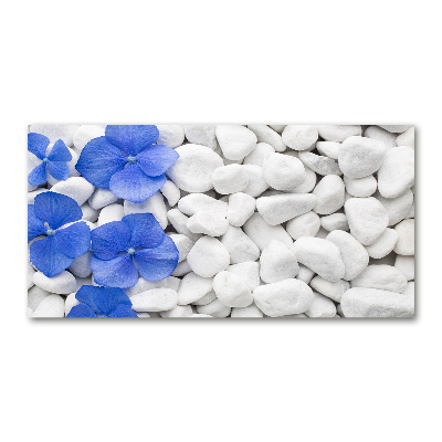 Wall art on glass Hydrangea