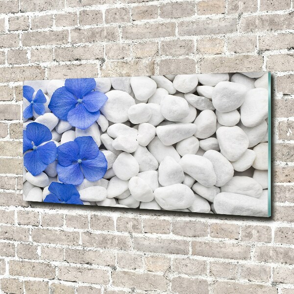 Wall art on glass Hydrangea