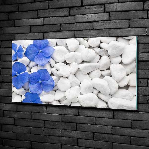 Wall art on glass Hydrangea