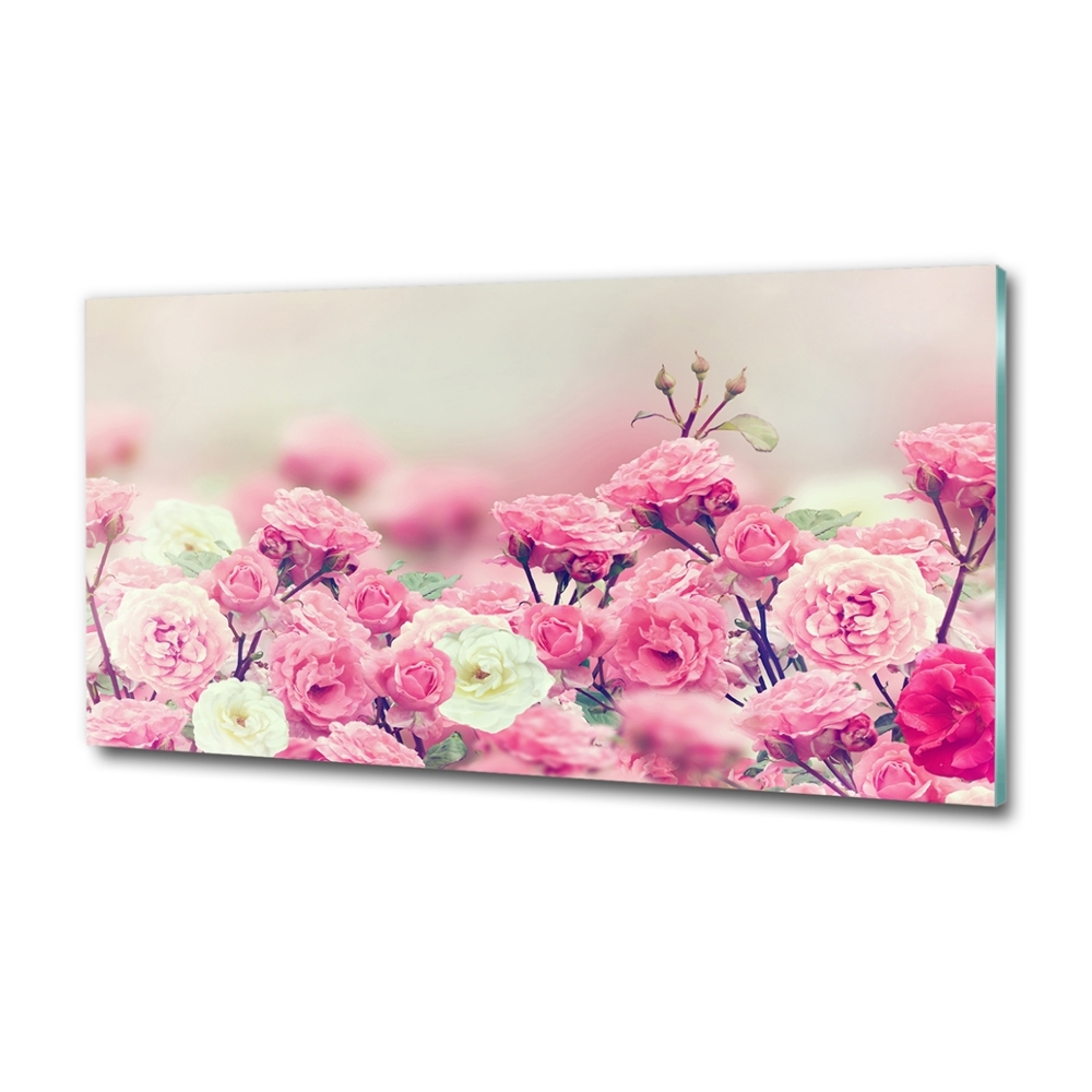 Wall art on glass Wild rose flowers