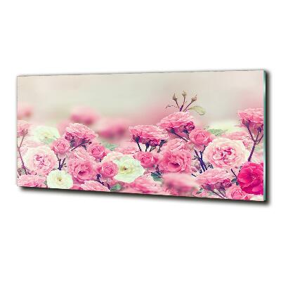 Wall art on glass Wild rose flowers