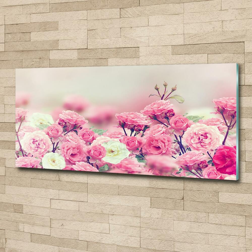 Wall art on glass Wild rose flowers