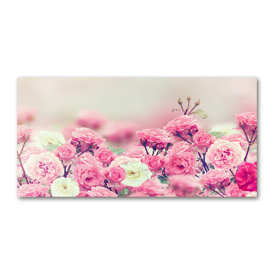 Wall art on glass Wild rose flowers