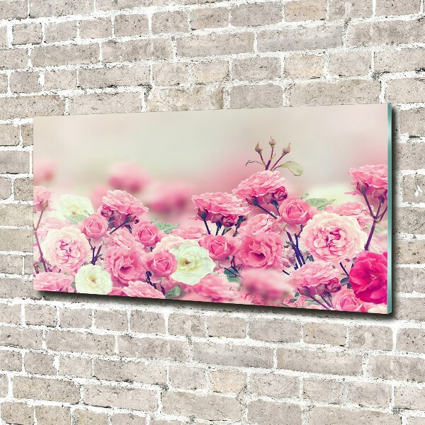 Wall art on glass Wild rose flowers