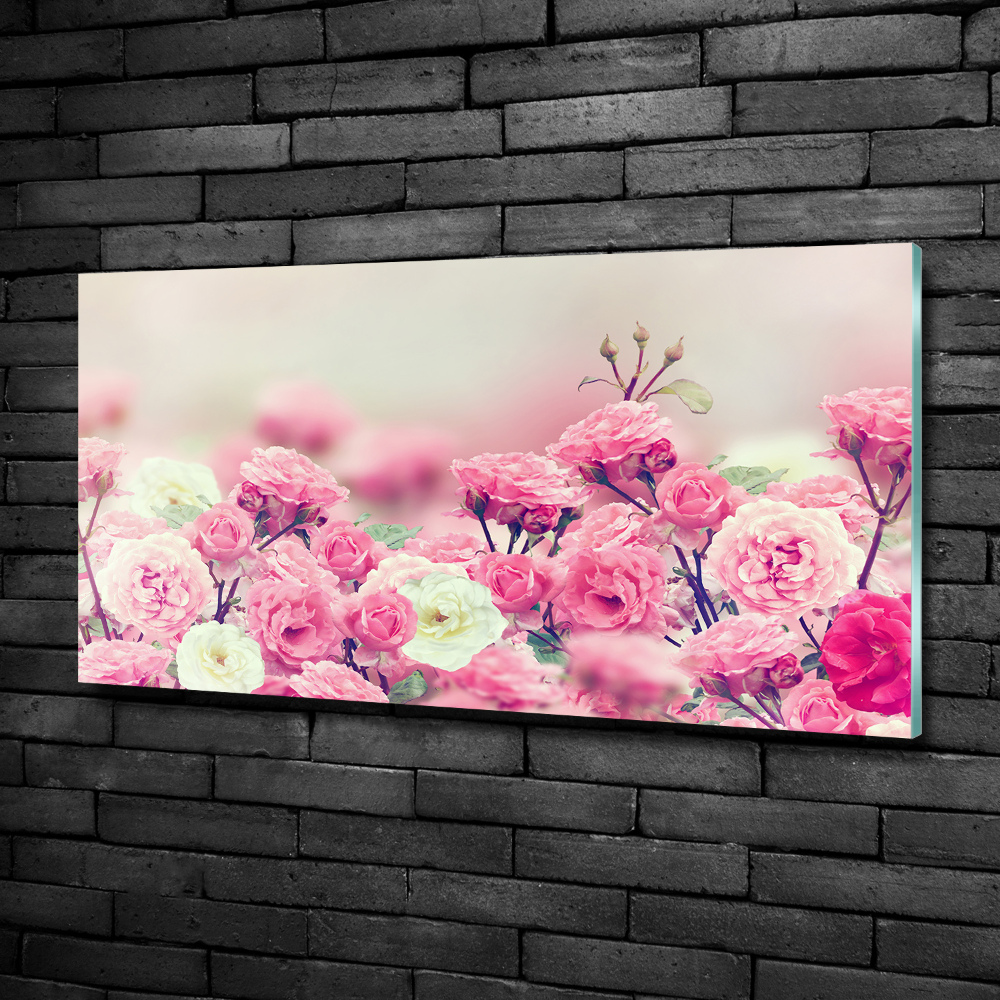 Wall art on glass Wild rose flowers