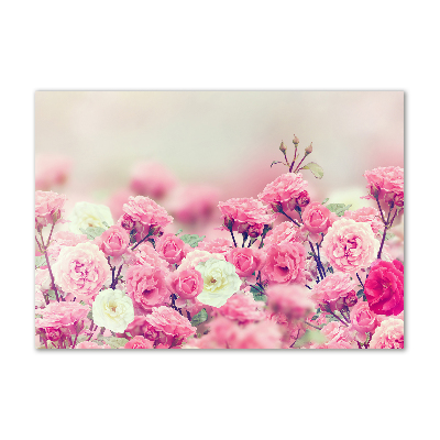 Wall art on glass Wild rose flowers