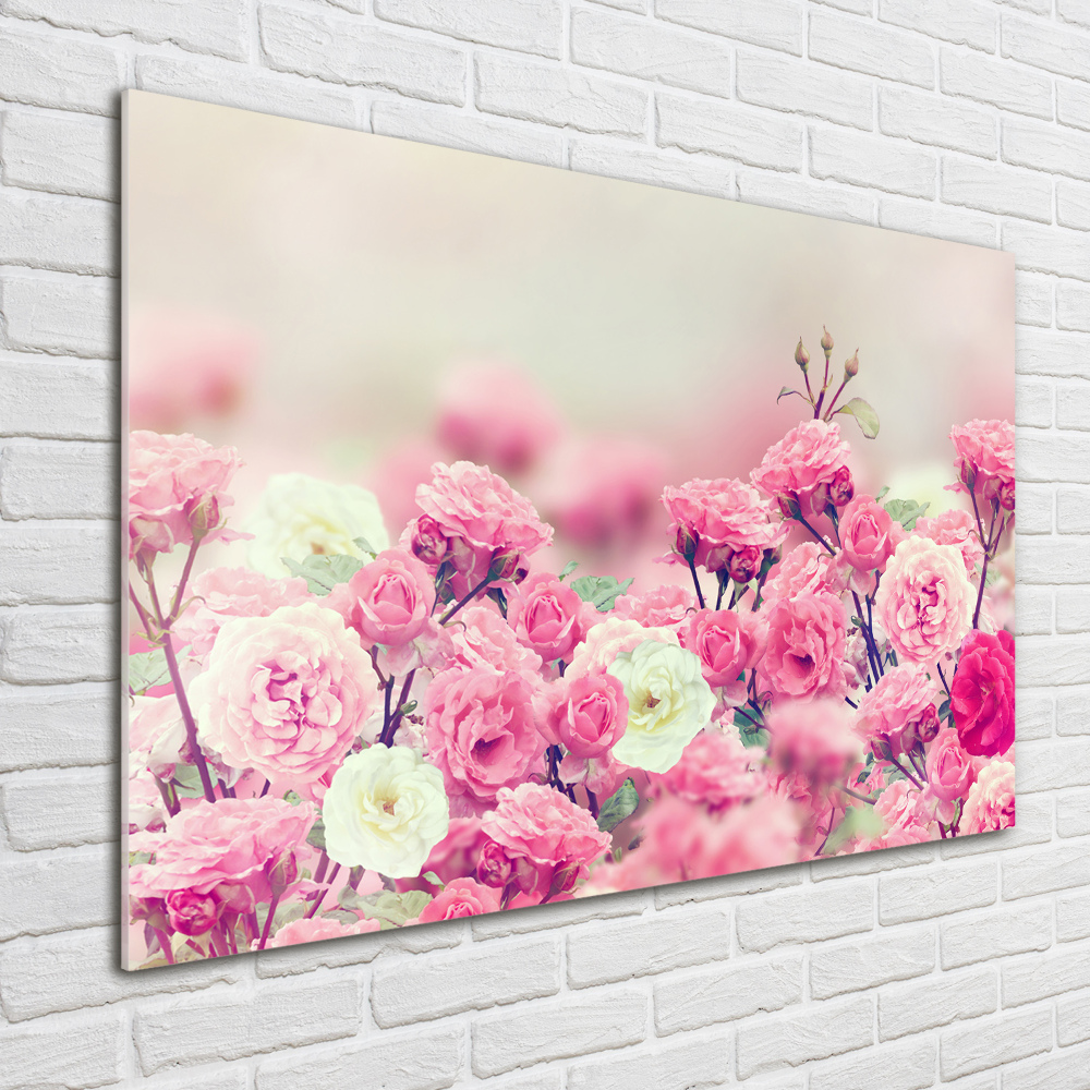 Wall art on glass Wild rose flowers