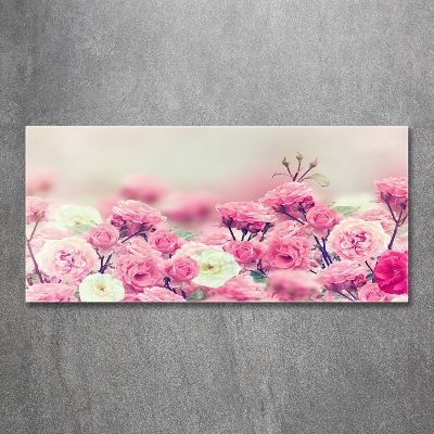 Wall art on glass Wild rose flowers