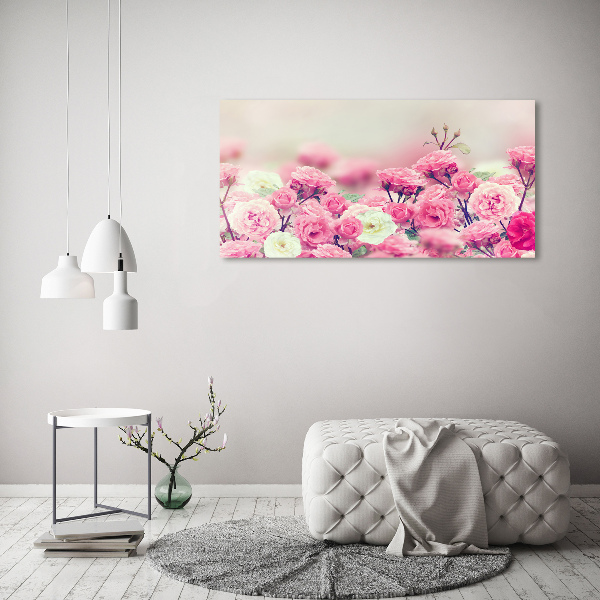 Wall art on glass Wild rose flowers