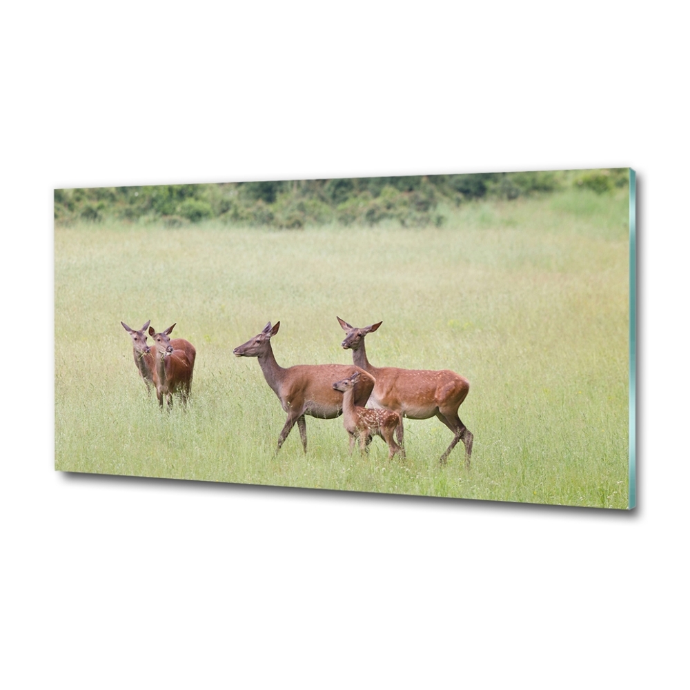 Glass wall art Deer with young