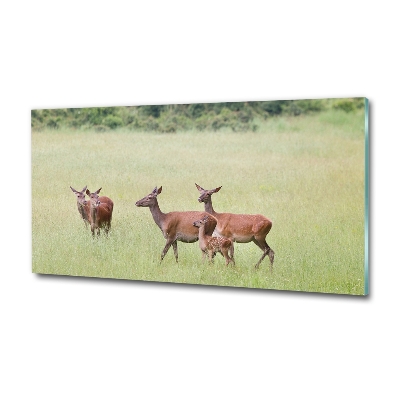 Glass wall art Deer with young