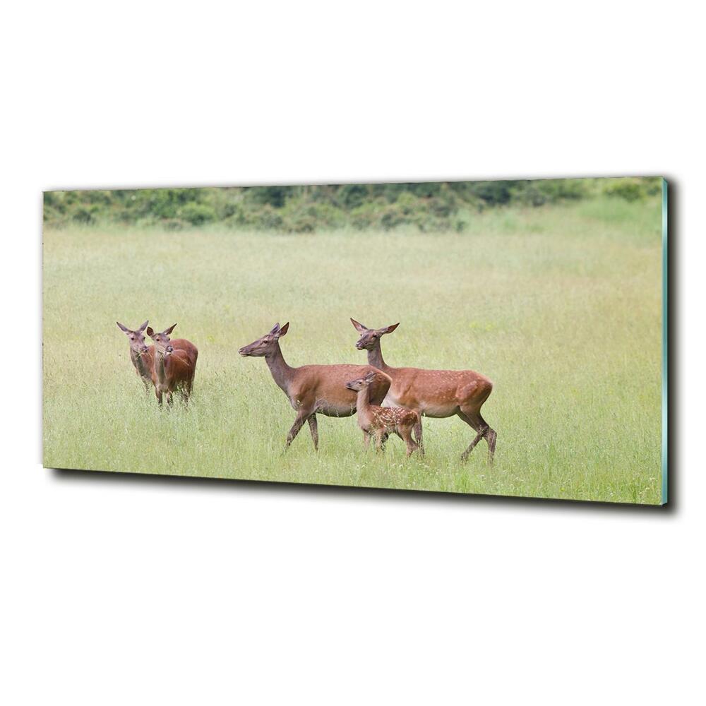 Glass wall art Deer with young