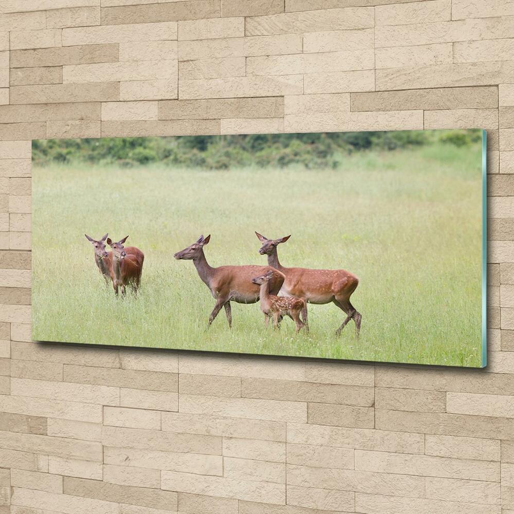 Glass wall art Deer with young