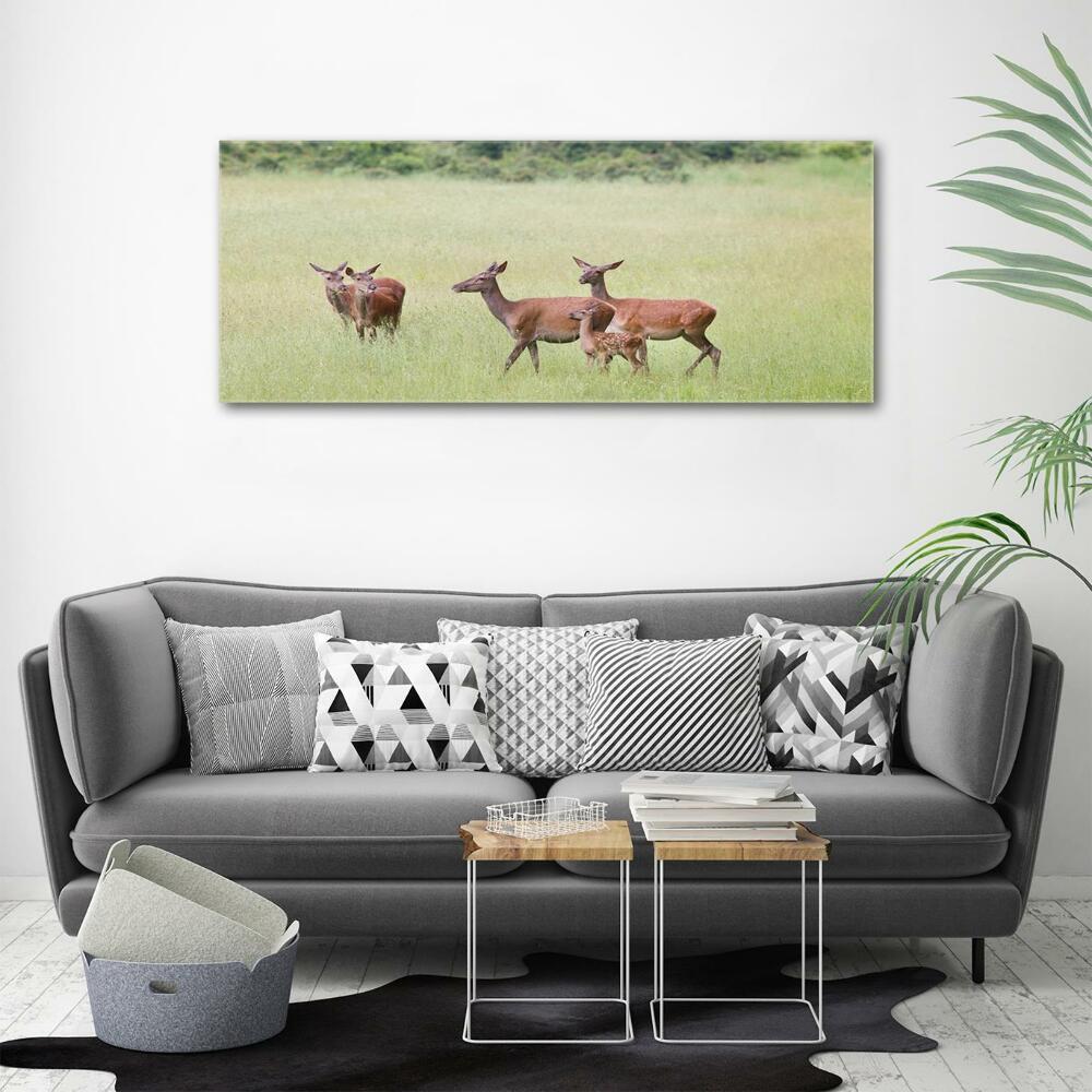 Glass wall art Deer with young