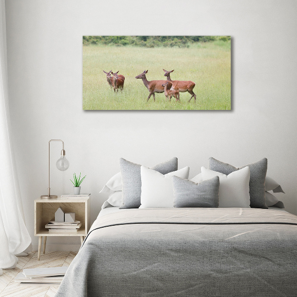 Glass wall art Deer with young