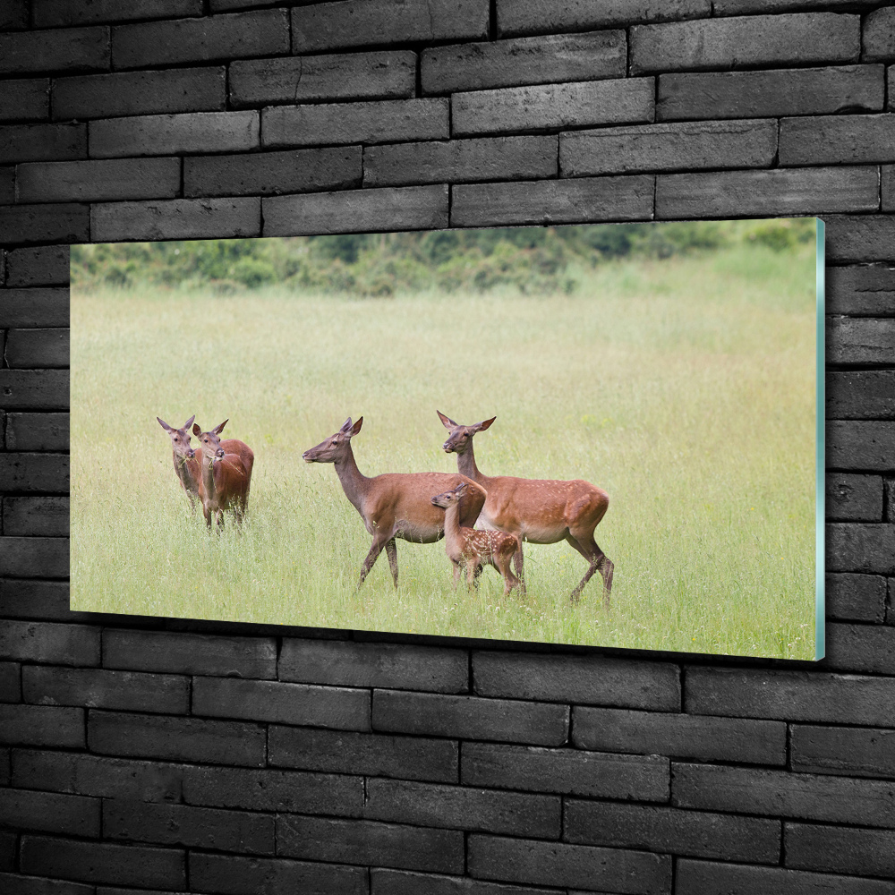 Glass wall art Deer with young