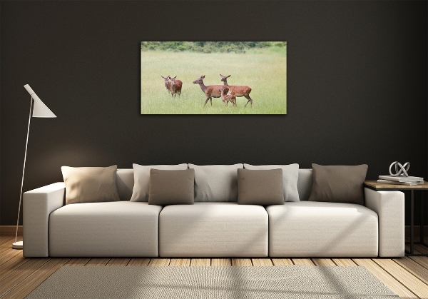 Glass wall art Deer with young