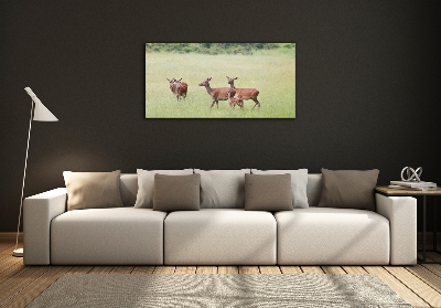 Glass wall art Deer with young